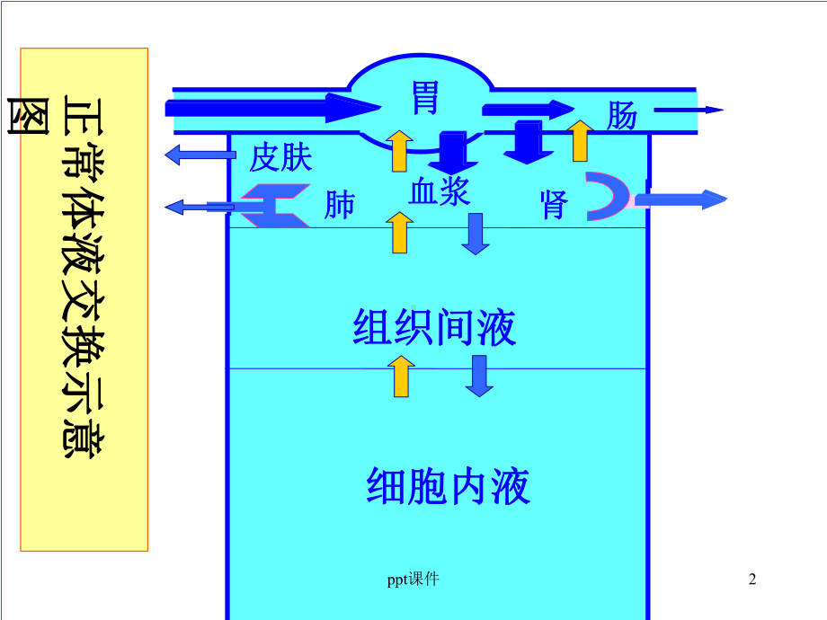 临床生化检查-课件.ppt_第2页