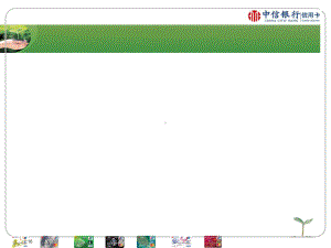 （风险管理）信用卡风险管理概述课件(-46.ppt