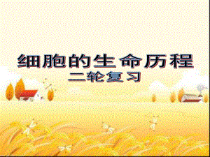 二轮复习《细胞的生命历程》-课件.ppt