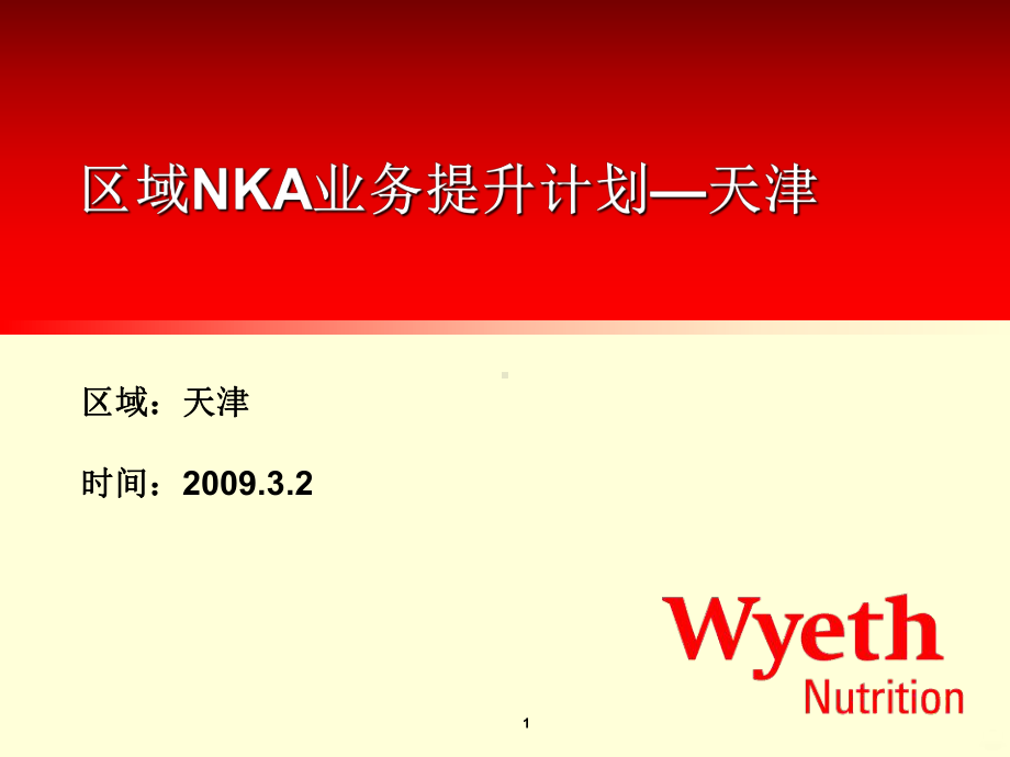 NKA系统提升计划-课件.ppt_第1页