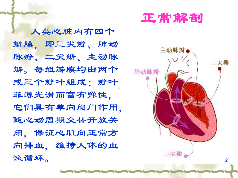 主动脉瓣置换术后的护理课件.pptx_第2页