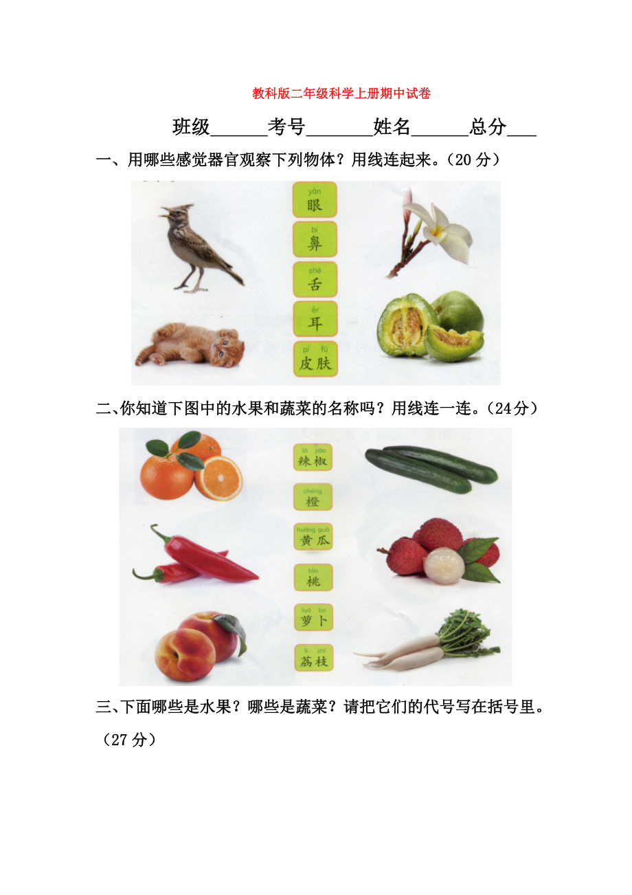 （科学）教科版二年级科学上册期中试卷.docx_第1页