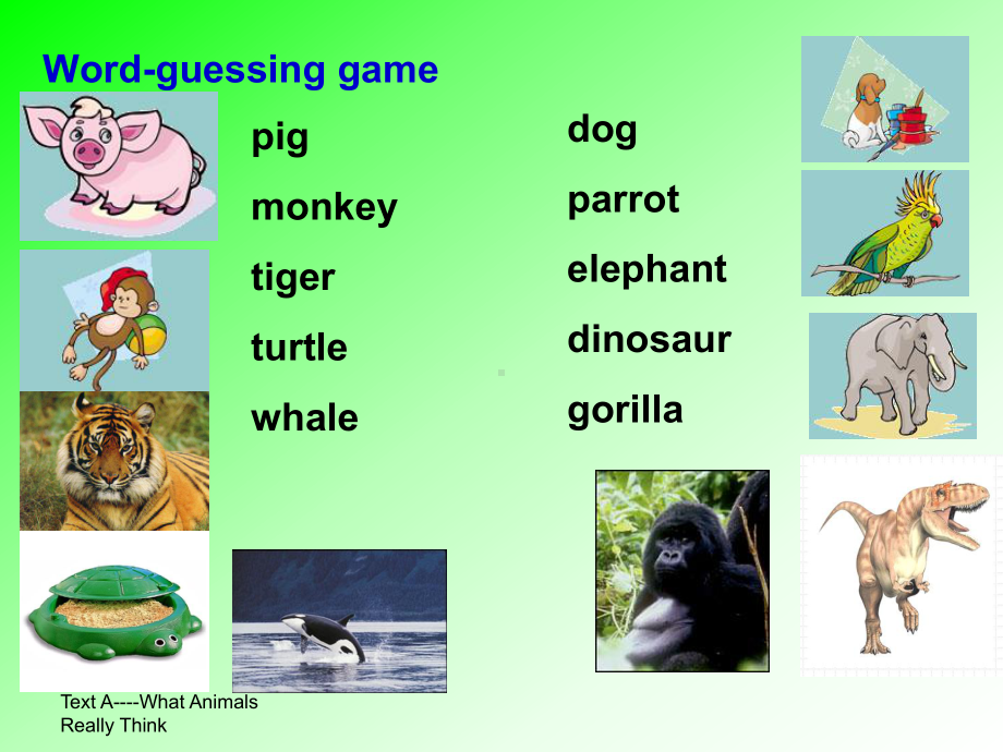 Unit-6-Animal-Intelligen教学讲解课件.ppt_第2页