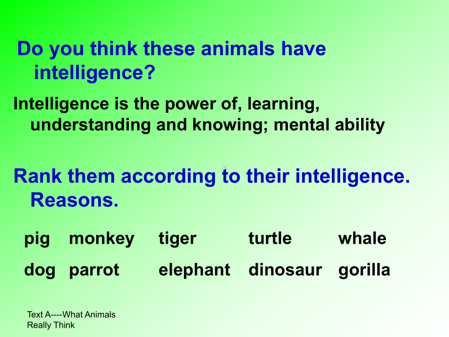 Unit-6-Animal-Intelligen教学讲解课件.ppt_第3页