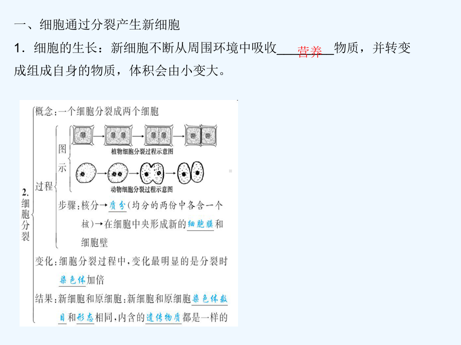 2020版中考生物第二章细胞怎样构成生物体复习课课件.ppt_第3页