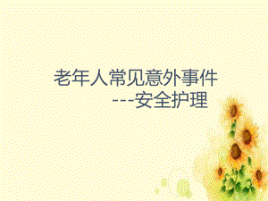 《老年人安全护理》课件.ppt