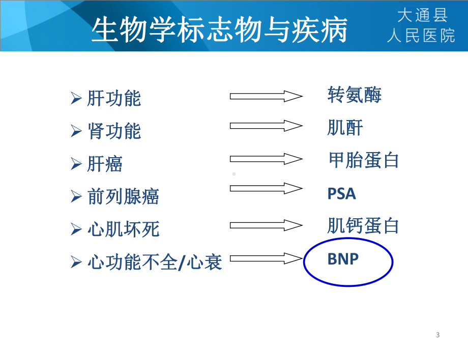 NTproBNP临床意义课件.ppt_第3页