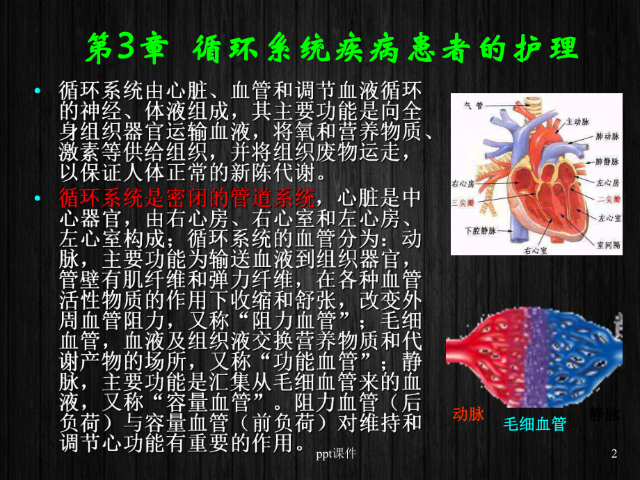 《内科护理学》循环系统疾病患者的护理-课课件.ppt_第2页