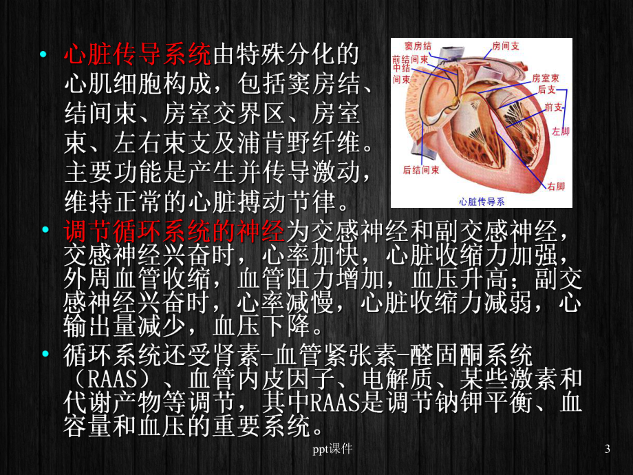 《内科护理学》循环系统疾病患者的护理-课课件.ppt_第3页