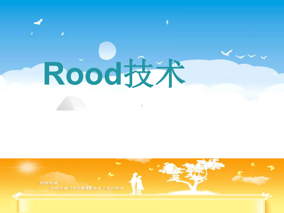 rood-技术教学讲解课件.pptx_第1页