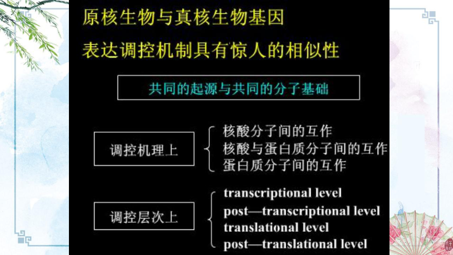 （非编码RNA）环状RNA课件.ppt_第2页