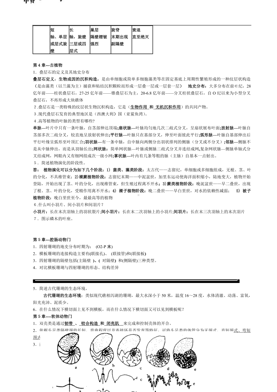 古生物地层学复习资料 .doc_第3页