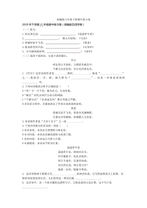 （新教材）部编版六年级下册期中练习卷.doc