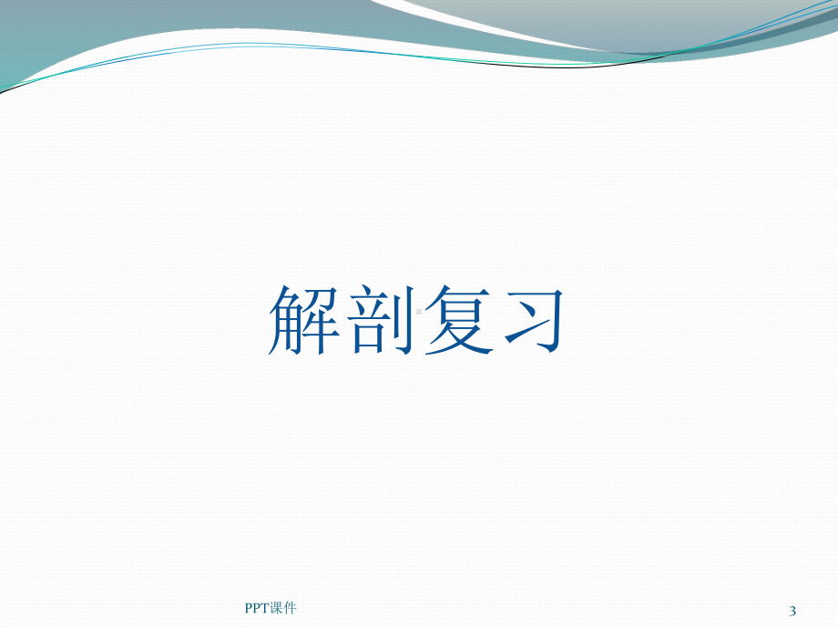 下腰痛的鉴别诊断-课件.ppt_第3页