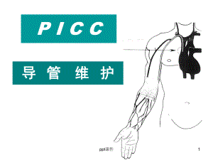 PICC导管维护-课件.ppt