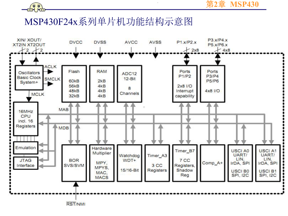 MSP430单片机原理课件.ppt_第3页