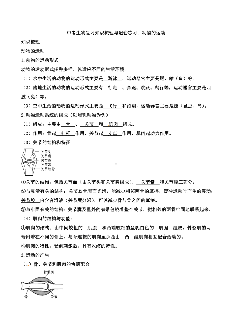 （新）中考生物复习知识梳理与配套练习：动物的运动.docx_第1页