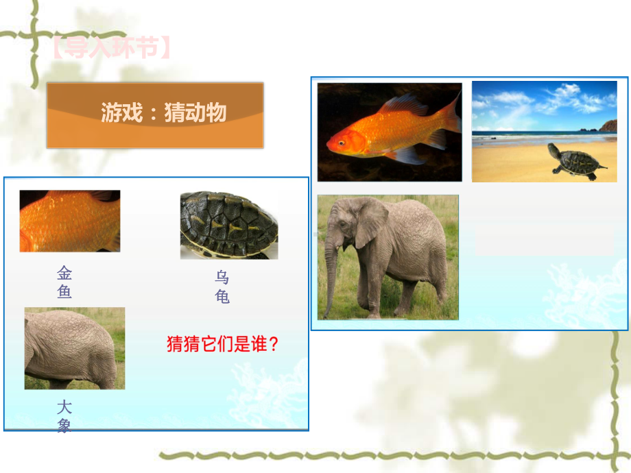 《动物的皮肤》课件.ppt_第2页