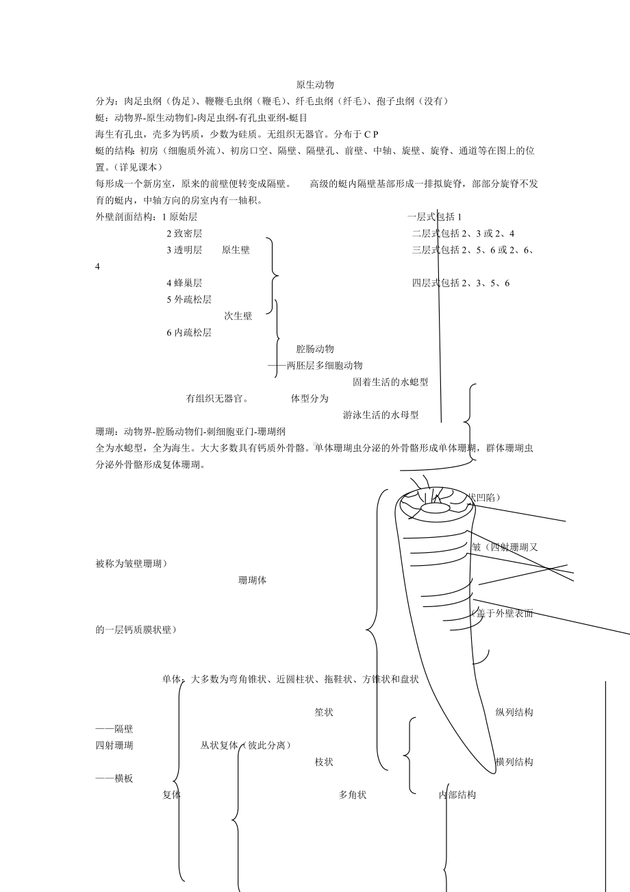 古生物地层学(资源09级).doc_第2页