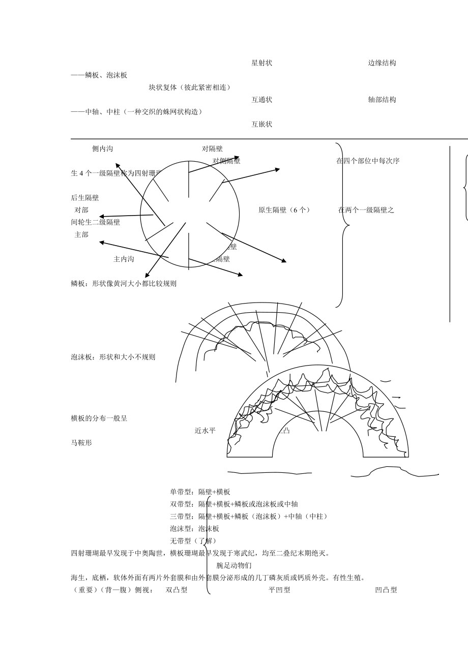 古生物地层学(资源09级).doc_第3页