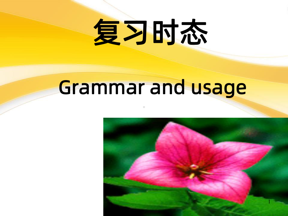 一般现在时和现在进行时课件-参考.ppt_第1页