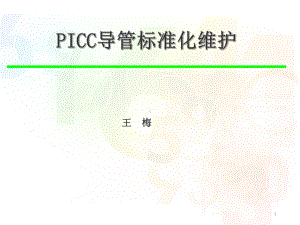 PICC标准维护-课件.ppt