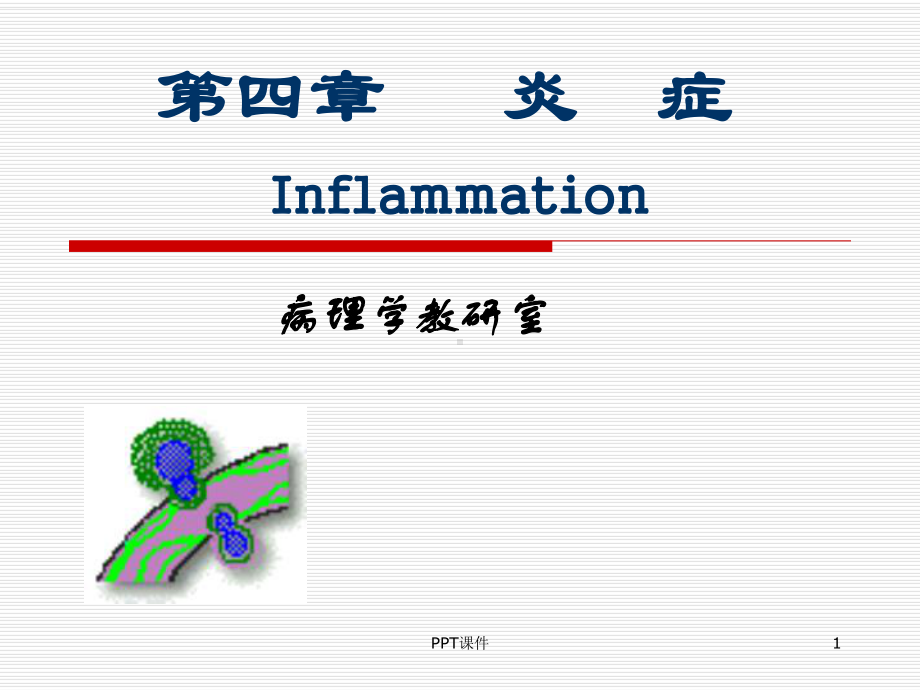 《病理学》炎症-课件.ppt_第1页