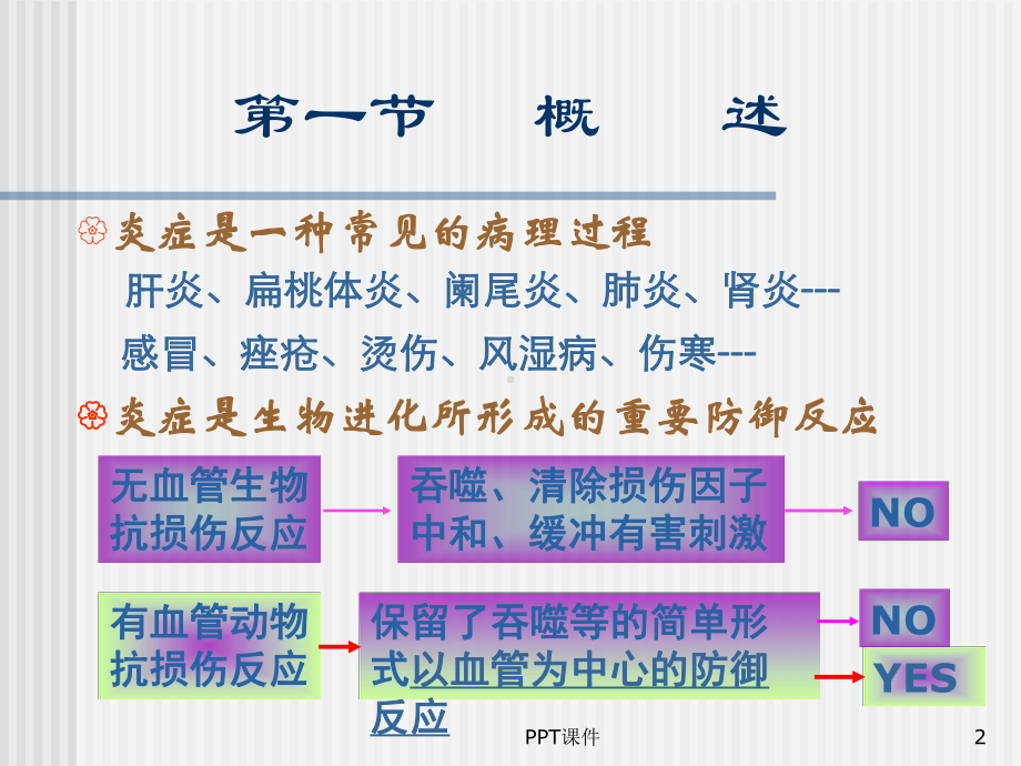 《病理学》炎症-课件.ppt_第2页