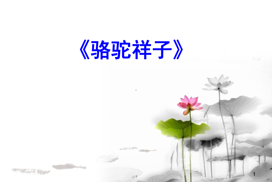 《骆驼祥子》1课件.ppt_第1页