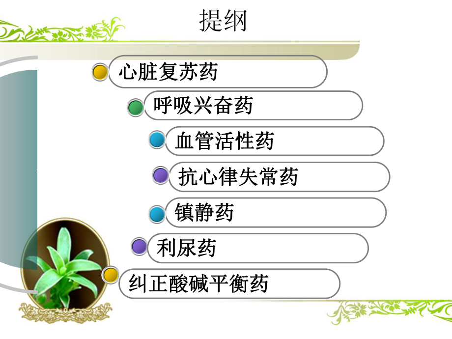 临床急救用药护理课件.ppt_第2页