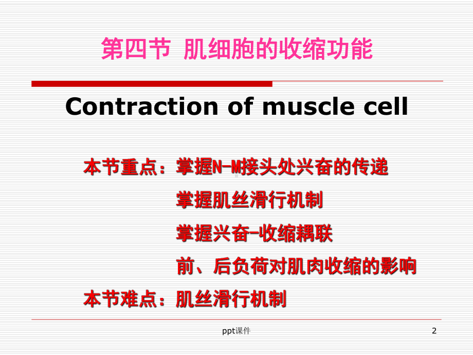 《生理学》肌细胞的收缩-课件.ppt_第2页