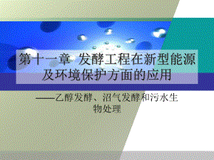 《微生物与发酵工程》第11章-发酵工程在新型能源课件.ppt