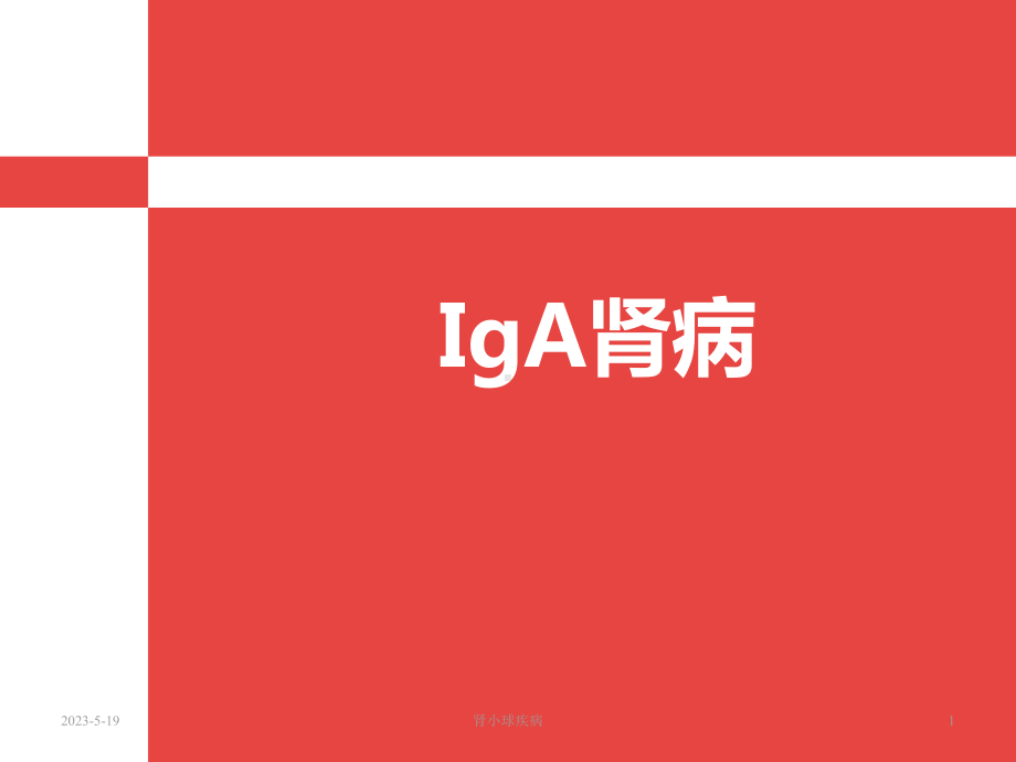 IgA肾病-科室业务学习课件.ppt_第1页