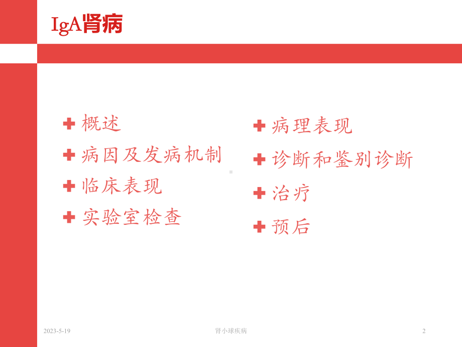 IgA肾病-科室业务学习课件.ppt_第2页