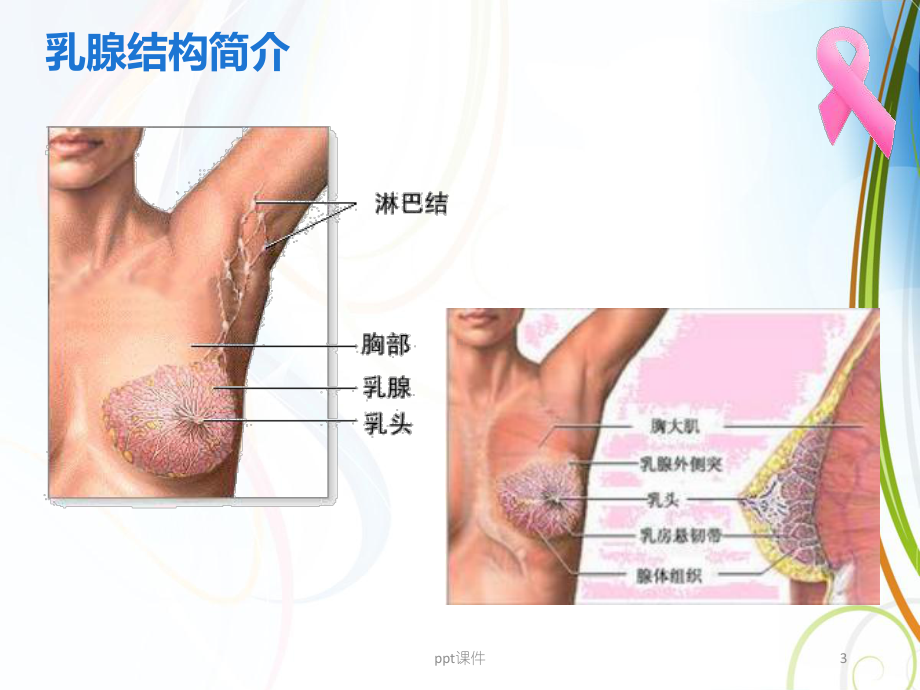 乳腺疾病宣教-课件.ppt_第3页