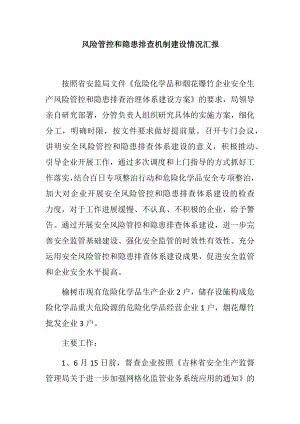 风险管控和隐患排查机制建设情况汇报参考模板范本.docx