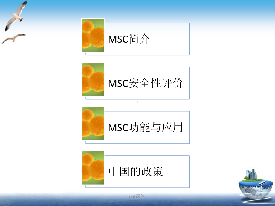 MSC功能及应用间充质干细胞临床应用课件.pptx_第2页