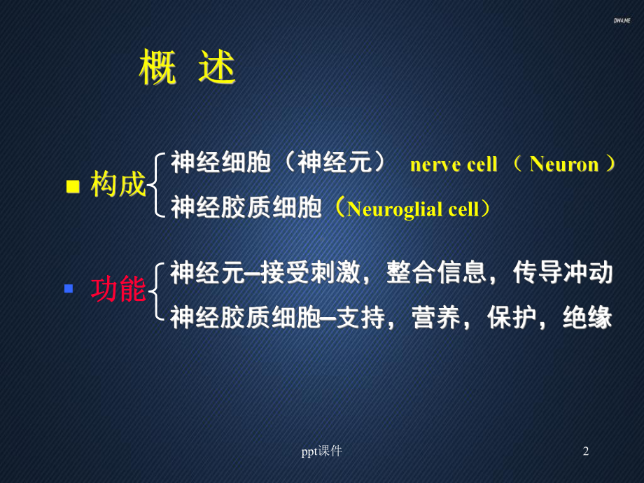 《组织学与胚胎学》神经组织-课件.ppt_第2页