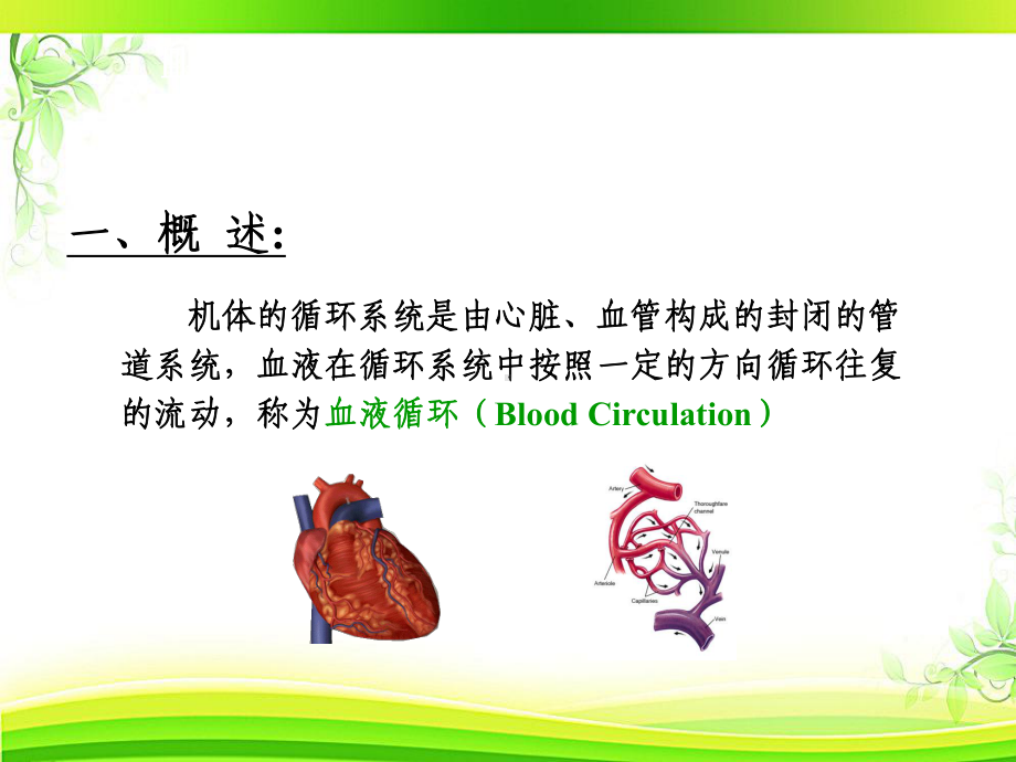 《动物生理学》血液循环-课件.ppt_第2页