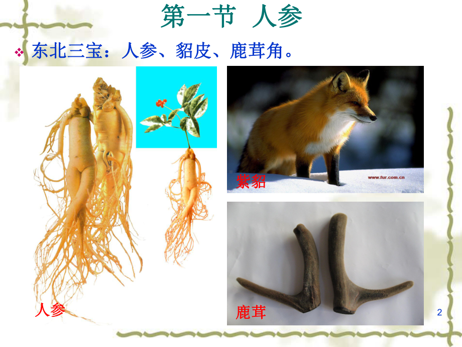 [药用植物栽培学]人参栽培技术-课件.ppt_第2页