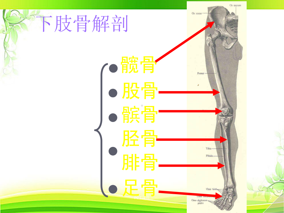 下肢骨折术后功能锻炼-课件.ppt_第2页