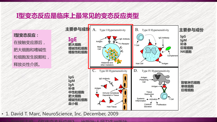 IgE与抗IgE治疗在哮喘过敏级联反应中的作用-课件.ppt_第3页