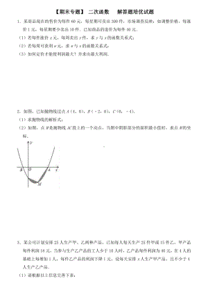 （期末专题）人教版数学九年级上《第22章二次函数》解答题培优试题(含答案).doc