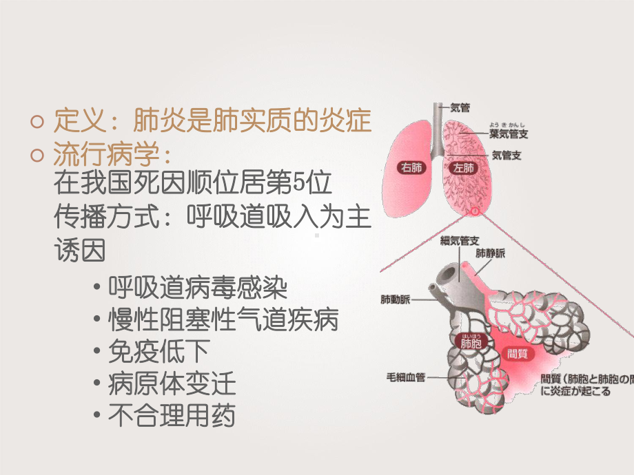 《内科护理学》肺炎病人的护理-课件.ppt_第3页