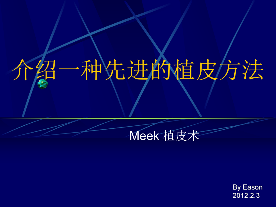 Meek植皮教学讲解课件.ppt_第1页