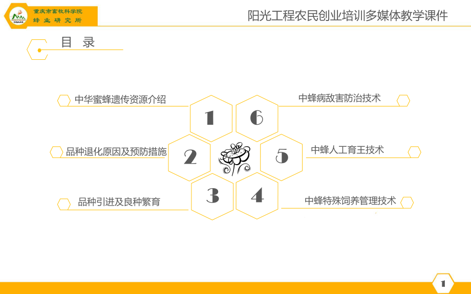 中蜂良种繁育技术教程-课件.ppt_第2页