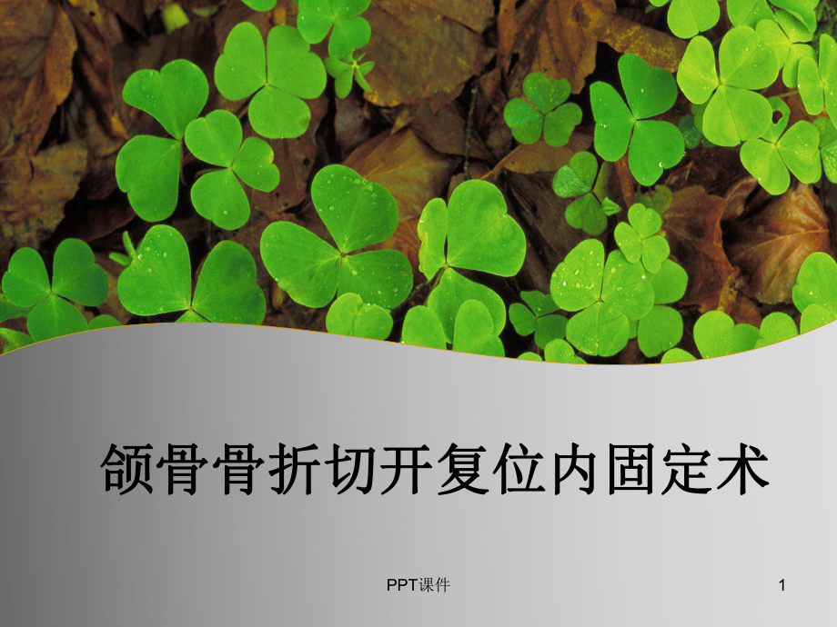 上下颌骨骨折-课件.ppt_第1页