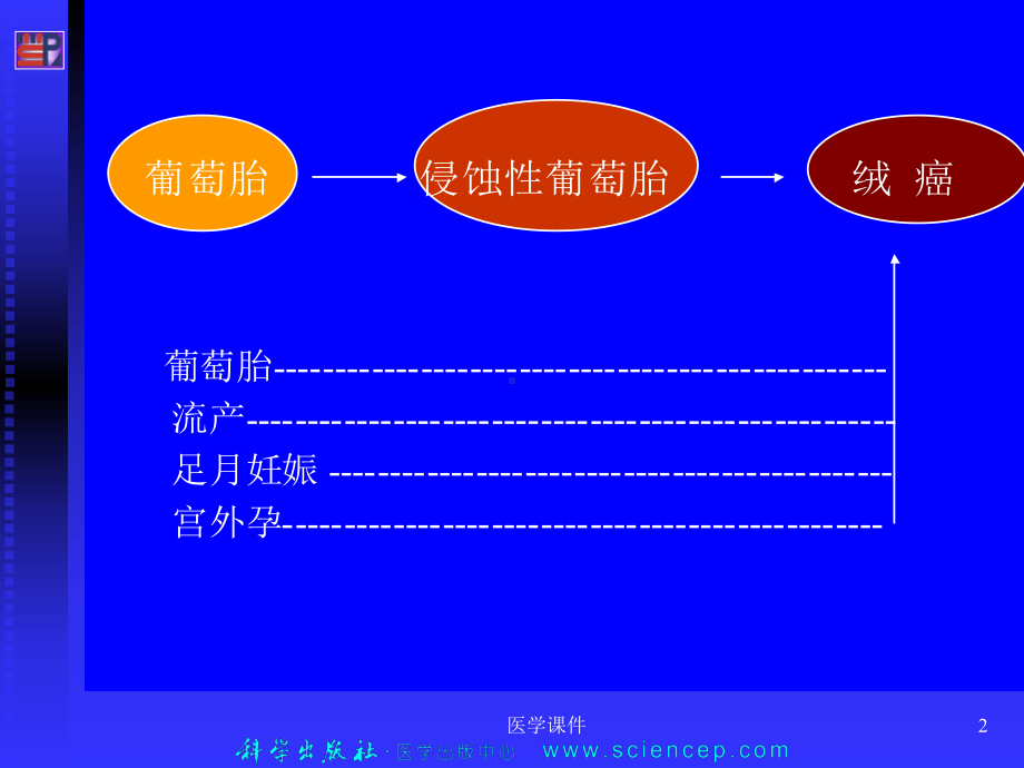 《妇产科学》(第二版)滋养细胞疾病-课件.ppt_第2页