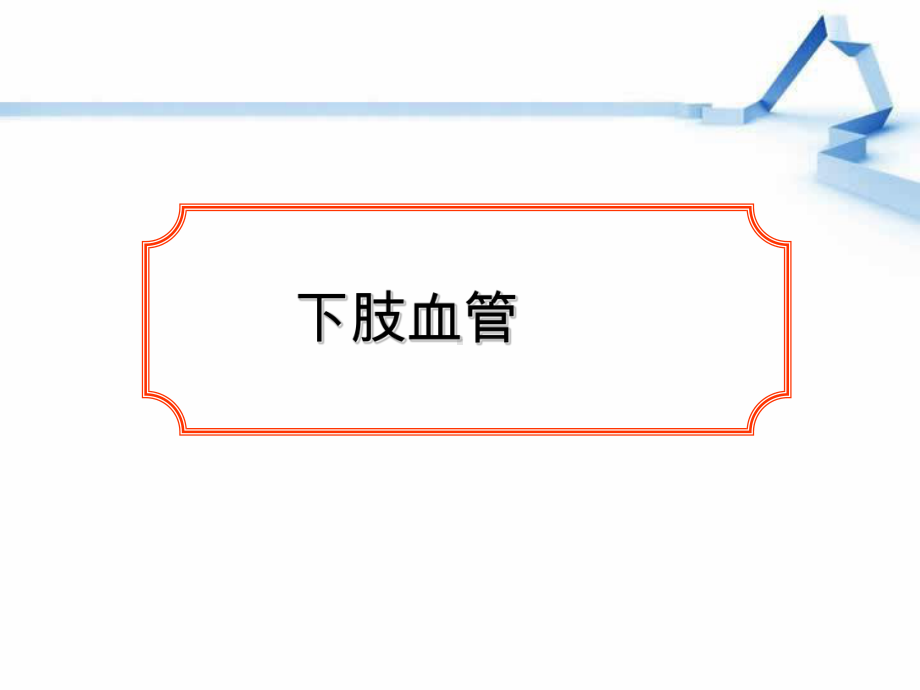 下肢血管解剖-课件.ppt_第1页