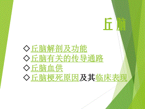 丘脑解剖及功能课件.ppt